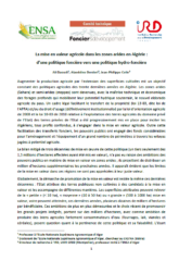 Publication de deux policy briefs sur les marchés fonciers et les liens entre foncier et eau en Algérie