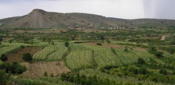 Publications du Comité sur les projets d’investissements agricoles à emprise foncière Publications du Comité sur les projets d’investissements agricoles à emprise foncière