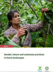 Gender, tenure and customary practices in forest landscapes