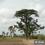 Sénégal